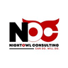 Logo firmy NightOwl Consulting