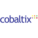 Cobaltix IT House