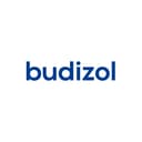 Logo firmy BUDIZOL sp. z o.o. SPÓŁKA KOMANDYTOWO-AKCYJNA