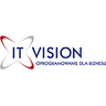 Logo firmy IT Vision