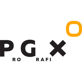 Logo firmy Prografix